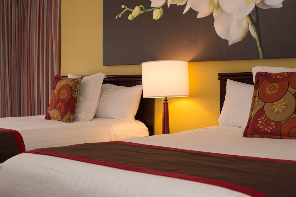 Hotel Palma Real سان هوزيه المظهر الخارجي الصورة